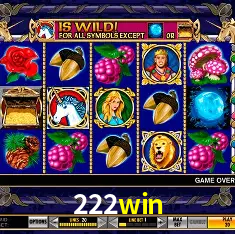 222win Rio de Janeiro - Bonus Terms